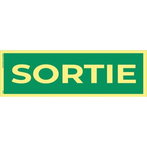 sortie – panneau photoluminescent 20 x 8 cm